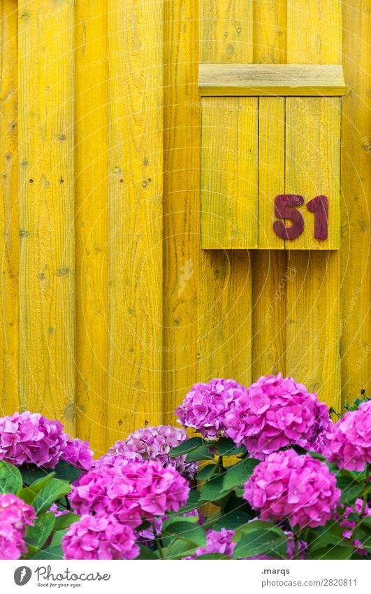 51 Living or residing Flower Wooden wall Mailbox Digits and numbers Yellow Violet Colour Ecological Colour photo Exterior shot Structures and shapes Deserted