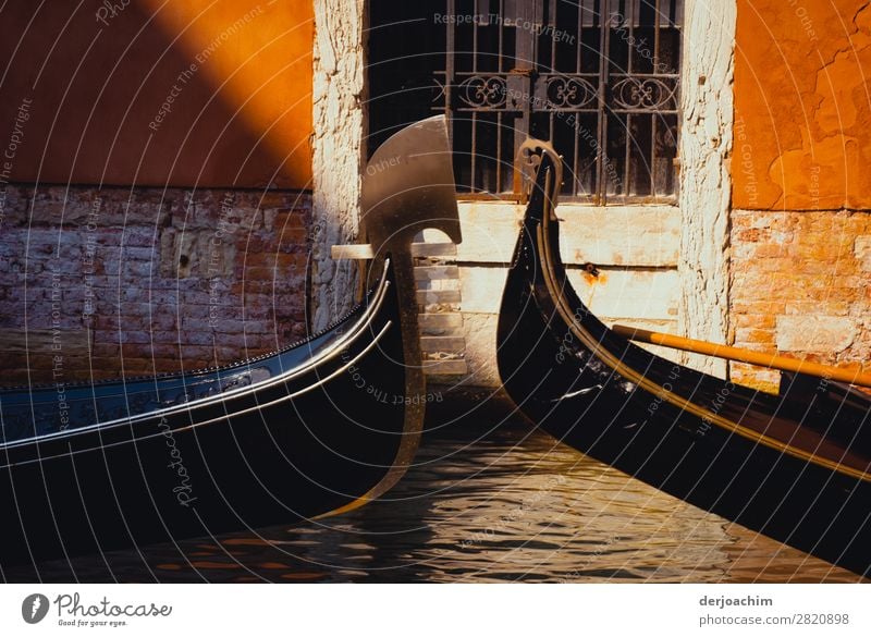 Meeting of two gondolas that meet in the canals...of Venice. One sees only the front of the boats. In the background there is an old door with bars. Design Trip