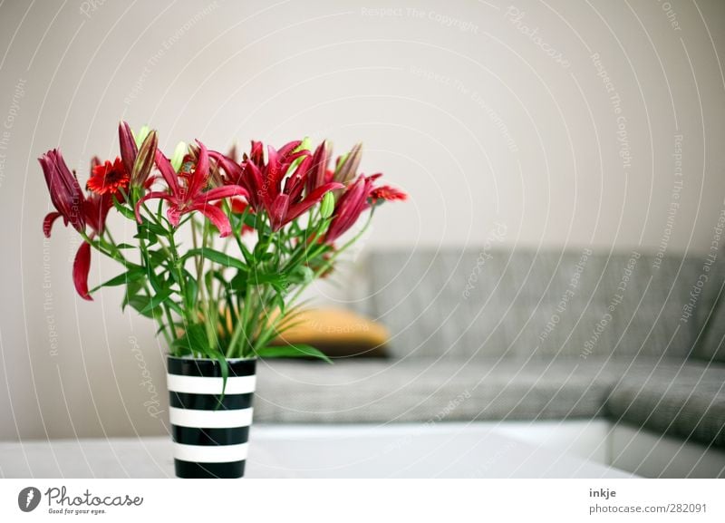 Living room [tidy] Lifestyle Style Living or residing Flat (apartment) Arrange Interior design Decoration Sofa Room Flower Bouquet Lily Deserted Vase Blossoming