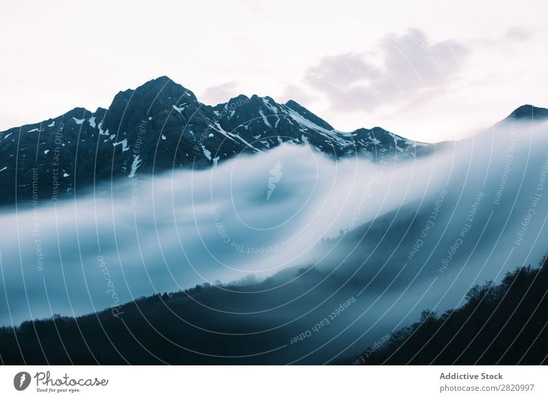 Mist on slope of mountains Mountain Slope Fog Landscape Traveling Nature Mysterious Adventure Clouds Moody tranquil White Weather Natural Environment Beautiful