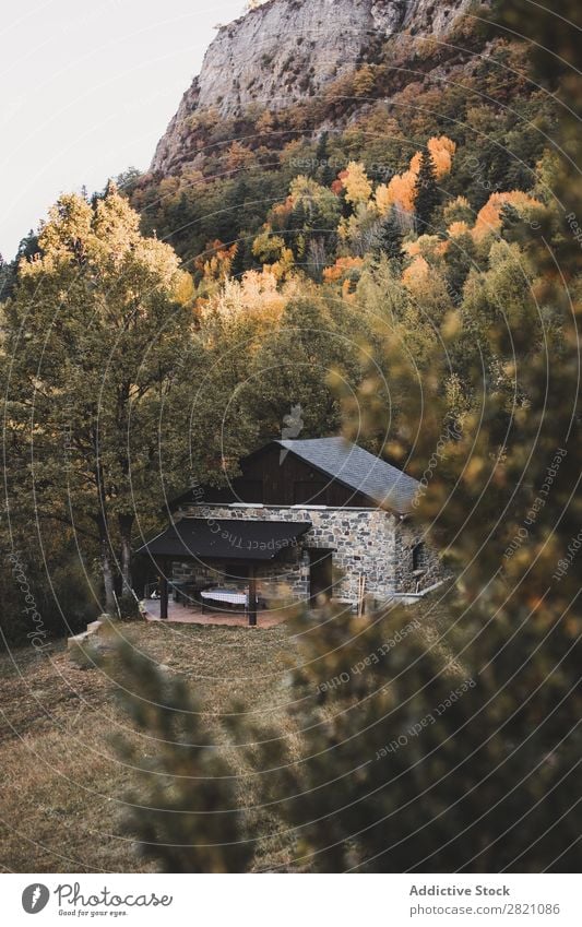 Small house in forest Forest Mountain House (Residential Structure) Building Hill Autumn Orange Landscape Nature Environment scenery Natural Vacation & Travel