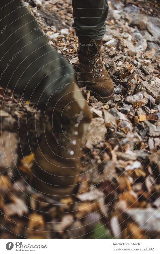 Legs of hiker in forest Leaf Pebble Footwear Human being Forest Hiking Nature Autumn Vantage point Vacation & Travel Adventure Walking Environment Lifestyle