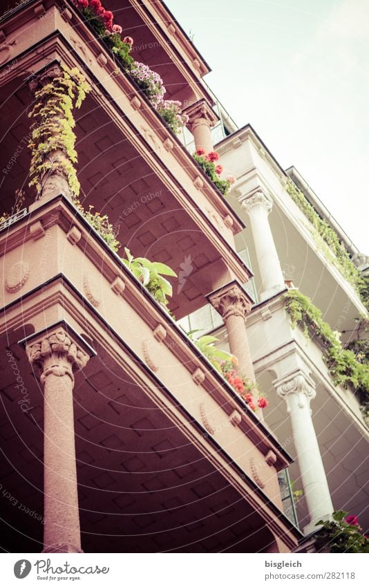 my street Berlin Germany Europe Capital city House (Residential Structure) Architecture Column Balcony Balcony plant Stone Old Green Pink White Old building