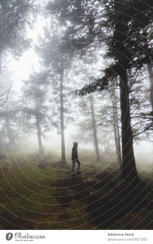 Woman walking in forest Fern Fog Forest Nature Day Human being Portrait photograph Wood Autumn Walking Wild Plant Dry Spooky Fear scenery Seasons Calm tranquil