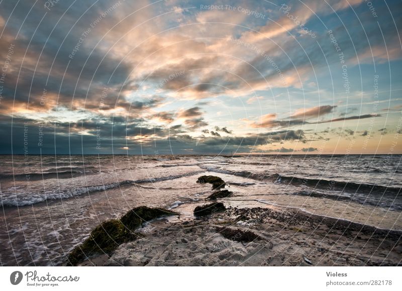 ... far away Nature Landscape Sky Clouds Sunrise Sunset Summer Beautiful weather Waves Coast Beach Baltic Sea Island Relaxation To enjoy Poel Island