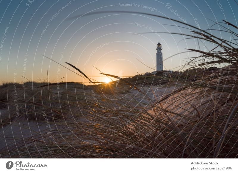 Beacon in sunset lights Lighthouse Sunset Ocean Landmark Navigation Landscape Tower Nautical Coast Grass Dry Balance beam Clouds Beach Dusk marine Evening