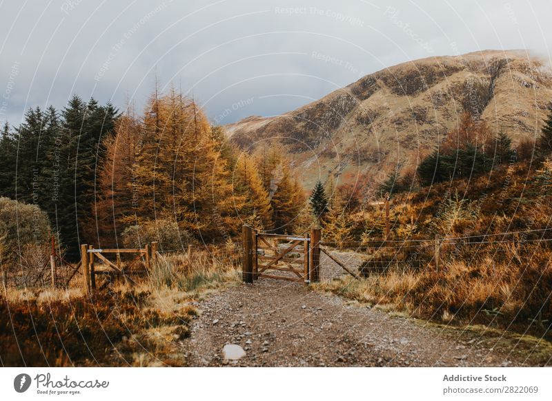 Fence on road in hills Hill Mountain Street Gate Dry Grass Landscape Nature Field Rural Vacation & Travel Clouds Valley Vantage point Beautiful scenery Landing