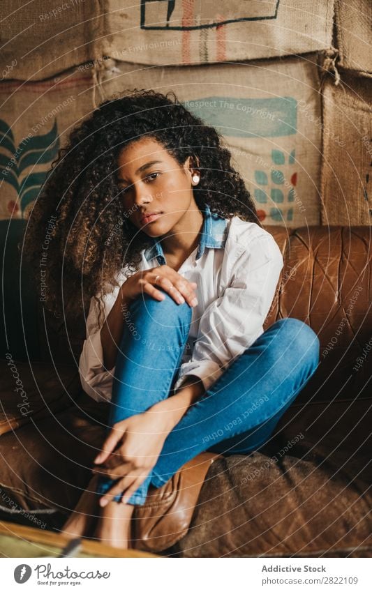 Stylish ethnic woman on couch Woman pretty Beautiful Ethnic Black Curly Youth (Young adults) Leather Couch Sofa Brown Sit Looking into the camera Brunette