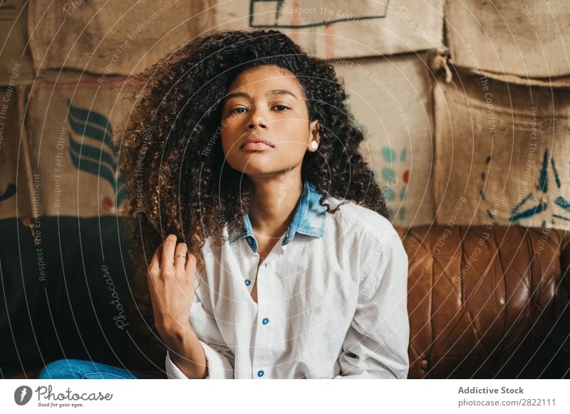 Stylish ethnic woman on couch Woman pretty Beautiful Ethnic Black Curly Youth (Young adults) Leather Couch Sofa Brown Sit Looking into the camera Brunette