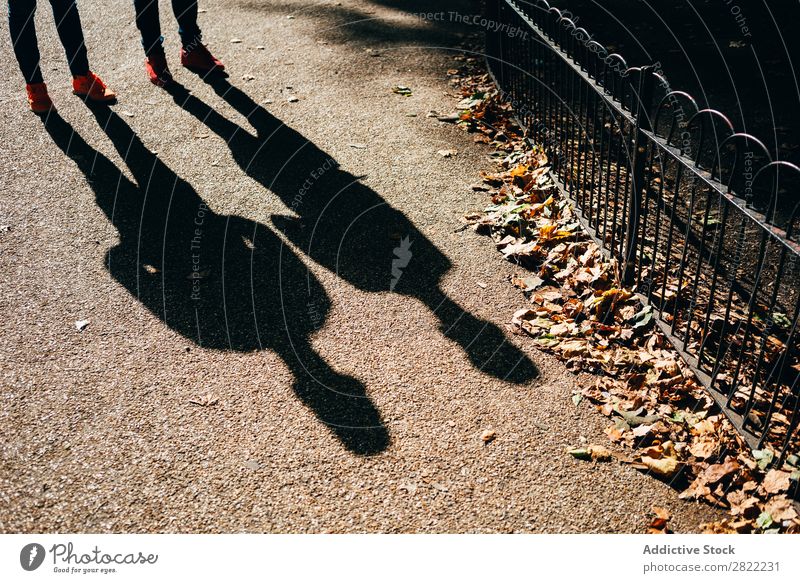 Shadows on sunny sidewalk Pavement Sunlight London England Silhouette Town Street City travelers Ground Pedestrian Walking Life Promenade Sidewalk Autumnal Leaf