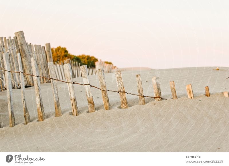 sandy Nature Sand Coast Beach Desert Diet Idyll Sandy beach Sandbank Sanddrift Beach dune Haag Fence Wooden board Wooden stake Wooden fence lattice fence