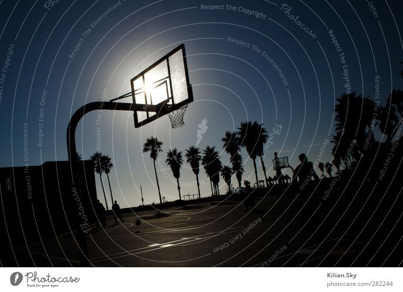 Sunset Beach Basketball Elegant Exotic Athletic Adventure Summer vacation Sports Fitness Sports Training Ball sports Sunrise Sunlight Park Los Angeles