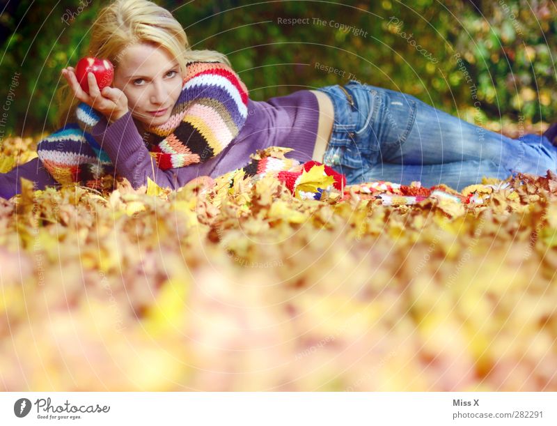 Autumn II Apple Human being Feminine Young woman Youth (Young adults) Woman Adults 1 18 - 30 years Leaf Meadow Forest Jeans Scarf Blonde Lie Beautiful