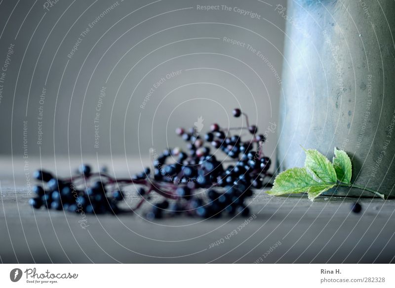 Autumn Still IV Fruit Leaf Metal Old To dry up Authentic Natural Transience lilac berries Elder Berries Jug Still Life Colour photo Subdued colour Interior shot