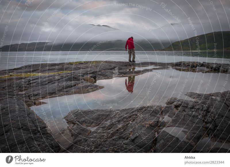 Nocturnal North Sea Hiker 1 Human being Water Rock Coast Ocean Arctic Ocean Norway Dream Sadness Dark Gloomy Wild Concern Grief Longing Loneliness Exhaustion