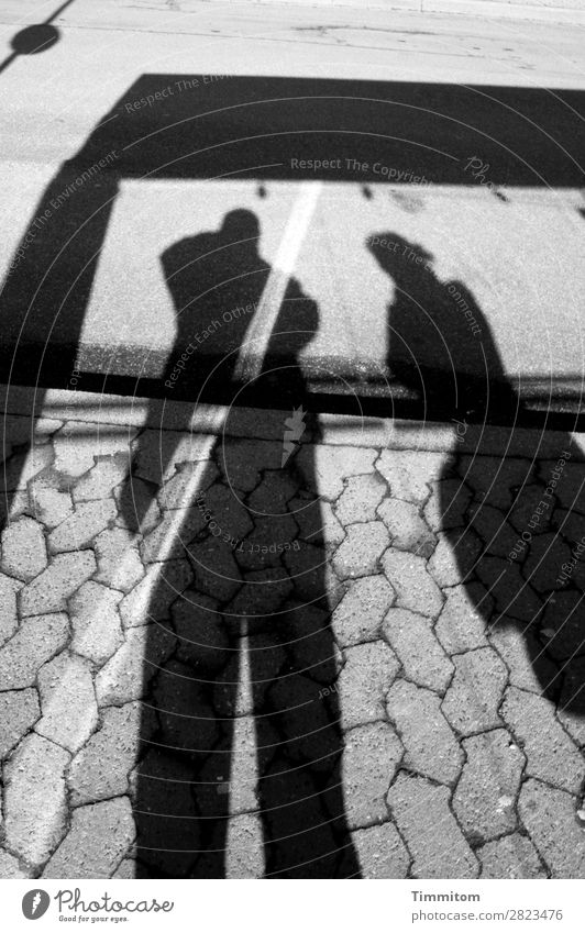 Wanderlust | Waiting at the bus stop Transport Public transit Street Stone Signs and labeling Gray Black White Emotions Patient Impatience Line Bus stop