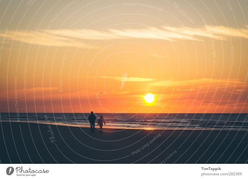 Langeoog Love Sun Sunrise Sunset Beautiful Lovers Romance Beach Walk on the beach Sunlight East frisian island Horizon Sky Couple Dusk Evening Exterior shot