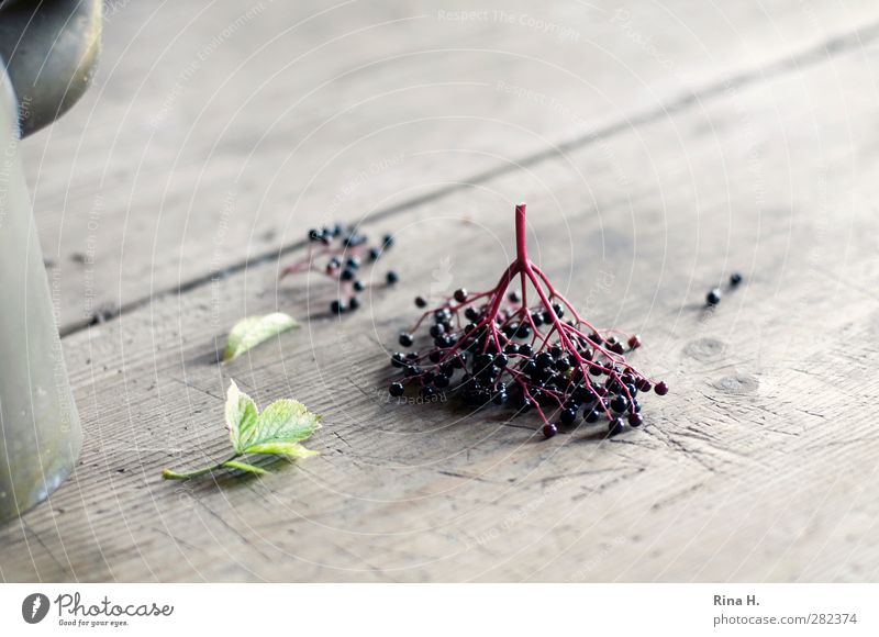 Autumn Still V [up-side-down] Fruit Leaf Old To fall Faded To dry up Authentic Natural Transience Change lilac berries Elderberry Wooden table Jug Still Life