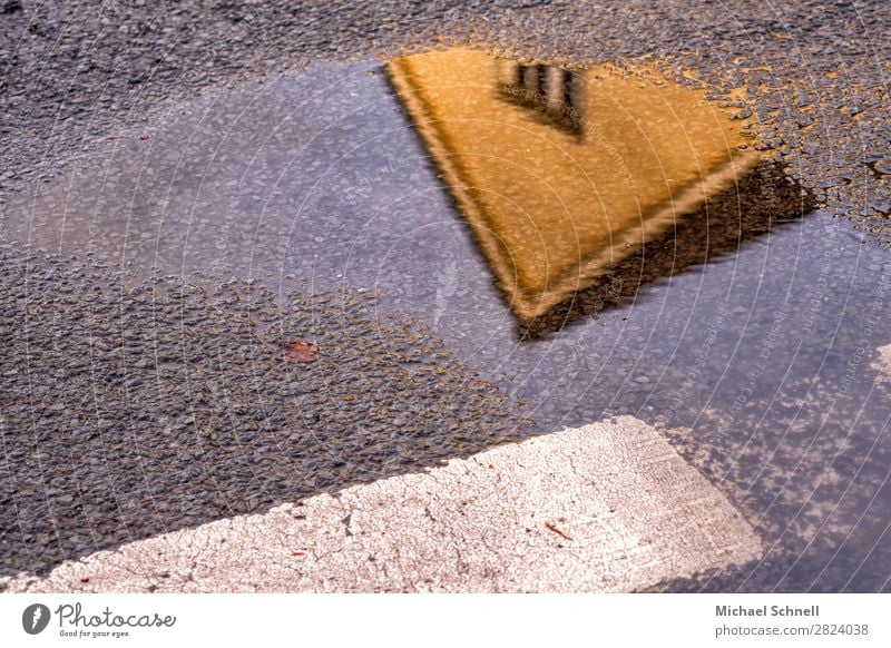 yellow house tip puddle Water Rain House (Residential Structure) Building Window Street Pavement Marker line Wet Yellow Gray Converse Disagreement Contrast