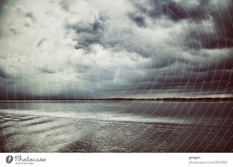 Hiddensee! We came to scare the clouds! Spring Bad weather Wind Baltic Sea Dark Cold Slate blue Surface of water Water Ocean at sea Real estate Landscape