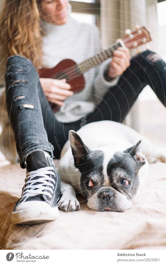 Woman and dog relaxing at home Home Relaxation Lifestyle Ukulele Guitar Musician Dog Pet Friendship Lie (Untruth) Beautiful Room Human being Easygoing Adults