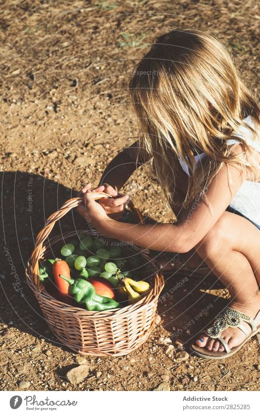 Anonymous child with basket of fruit Girl Basket Fruit Vegetable Summer Agriculture Landscape Nature Harvest vitamins Fresh Food Organic Beauty Photography