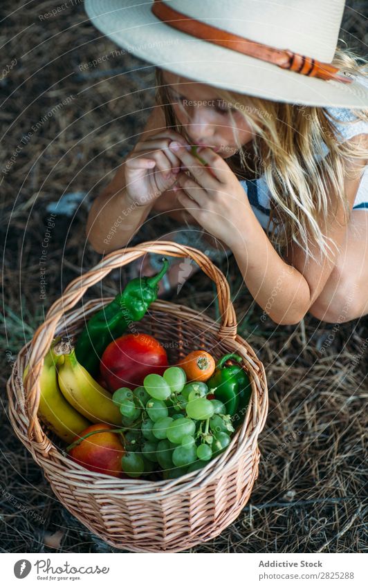 Child eating fruit from basket Girl Basket Eating Harvest Fruit Garden Vegetable Summer Style Rural Agriculture Organic Landscape Nature Seasons Picnic vitamins