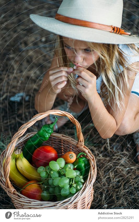 Child eating fruit from basket Girl Basket Eating Harvest Fruit Garden Vegetable Summer Style Rural Agriculture Organic Landscape Nature Seasons Picnic vitamins