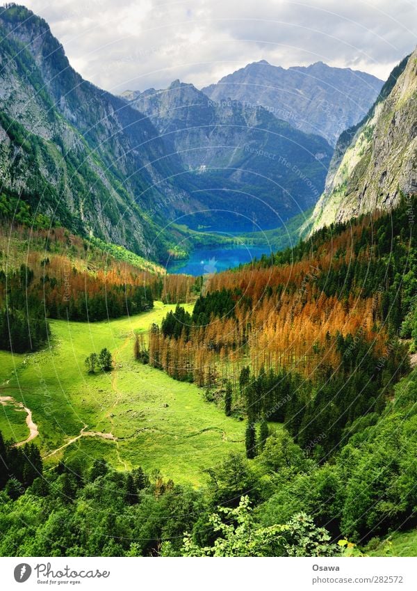 Obersee, Bob Ross Edition Mountain Alps Berchtesgaden Alpes National Park Lake Lake Obersee Lake Königssee Forest Tree Meadow Alpine pasture Watzmann Hiking