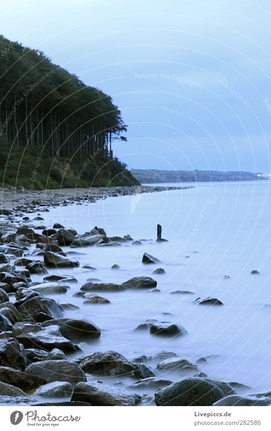 Twilight at the Baltic Sea Environment Nature Landscape Water Sky Clouds Plant Tree Wild plant Forest Coast Ocean Stone Sand Blue Gray Green Serene Calm