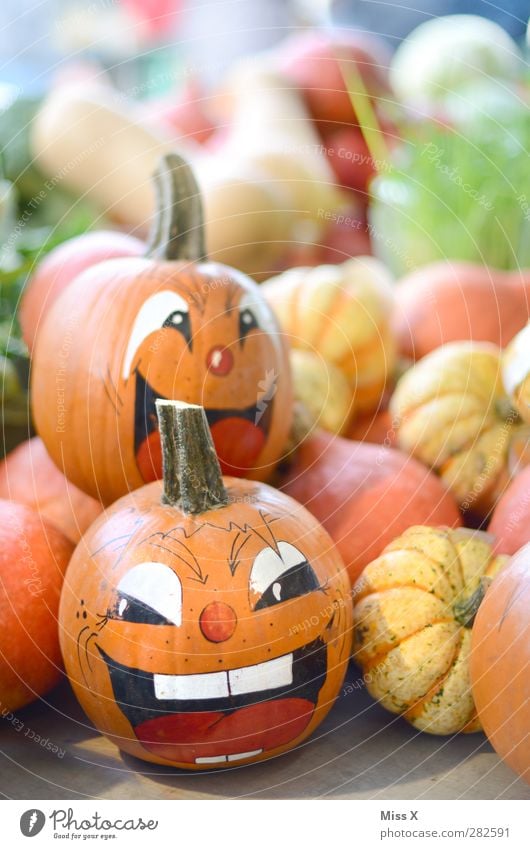 Head and Food Vegetable Nutrition Organic produce Face Eyes Smiling Laughter Emotions Joy Happiness Enthusiasm Euphoria Pumpkin Pumpkin time Hallowe'en Orange