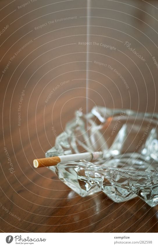 smoke Smoking Intoxicant Gastronomy Lack of inhibition Society Healthy Health care Identity Beautiful Cigarette Smoke Dependence Ashtray Embers Seventies