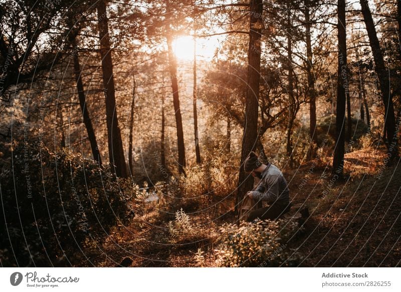 Man in forest looking into backpack Looking Backpack Tourist Forest Portrait photograph Autumn Tourism Vacation & Travel Adventure Youth (Young adults) Trip