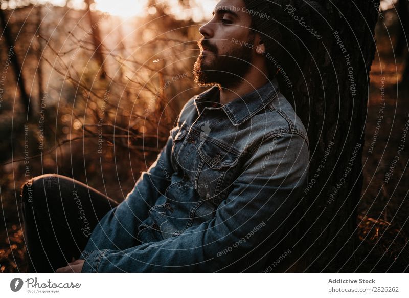 Man having peaceful time in the forest at sunset Human being Rest Sit Tourist Forest Looking Sunset Tree Portrait photograph Autumn Youth (Young adults) Rural