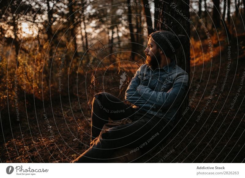 Man in forest admiring sunset Human being Rest Sit Tourist Forest Looking Sunset Tree Portrait photograph Autumn Youth (Young adults) Rural Nature Relaxation