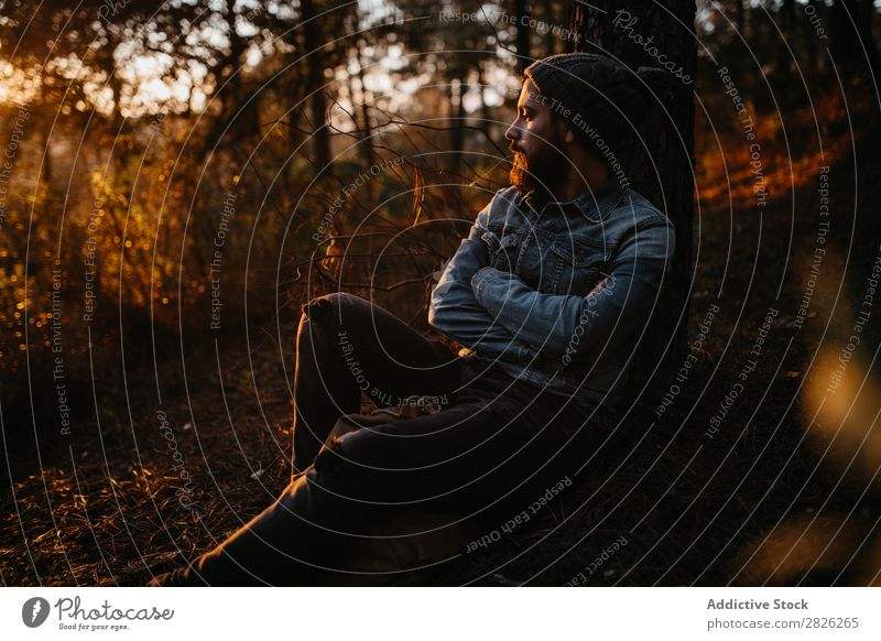 Bearded man having a break in the forest Human being Rest Lie (Untruth) Man Tourist Backpack Forest Looking Sunset Tree Portrait photograph Autumn Tourism