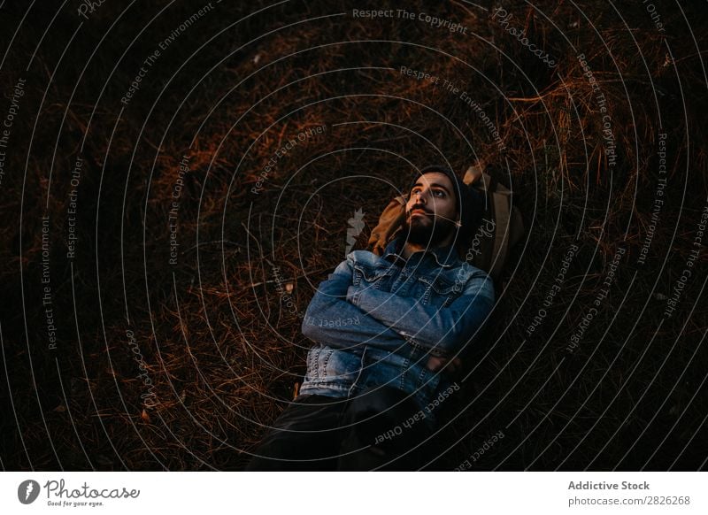 Bearded man having a break in the forest Human being Rest Lie (Untruth) Man Tourist Backpack Forest Looking Sunset Tree Portrait photograph Autumn Tourism