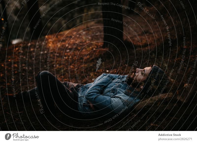 Man resting in the forest Human being Rest Lie (Untruth) Tourist Forest Looking Sunset Tree Portrait photograph Autumn Youth (Young adults) Trip Rural Nature