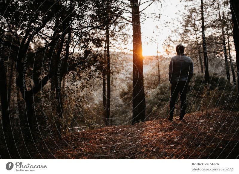 Man admiring a landscape Tourist Forest Backpack Autumn Landscape Youth (Young adults) Rural Nature Relaxation Silent Stand Vacation & Travel Human being