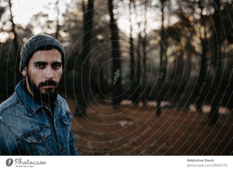 Bearded man in the forest Man Tourist Forest Looking into the camera Portrait photograph Autumn Youth (Young adults) Rural Nature Relaxation Silent Stand