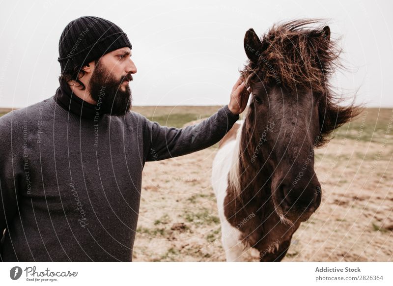 Man stroking icelandic wild horse Stroke Horse Iceland caring breeding Large-scale holdings Agriculture Caress Landscape Emotions Affection Touch Love Nature