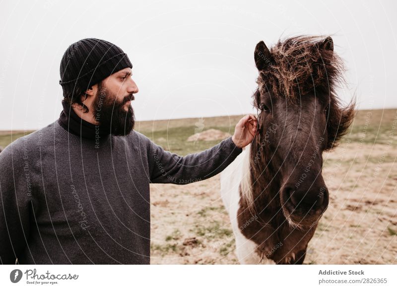 Man stroking icelandic wild horse Stroke Horse Iceland caring breeding Large-scale holdings Agriculture Caress Landscape Emotions Affection Touch Love Nature