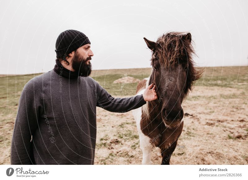 Man stroking icelandic wild horse Stroke Horse Iceland caring breeding Large-scale holdings Agriculture Caress Landscape Emotions Affection Touch Love Nature