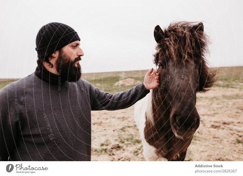 Man stroking icelandic wild horse Stroke Horse Iceland caring breeding Large-scale holdings Agriculture Caress Landscape Emotions Affection Touch Love Nature