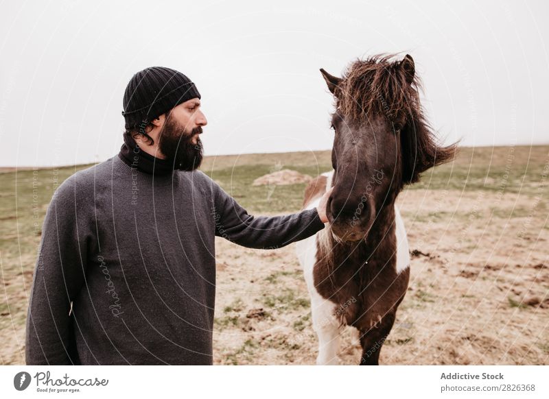 Man stroking icelandic wild horse Stroke Horse Iceland caring breeding Large-scale holdings Agriculture Caress Landscape Emotions Affection Touch Love Nature