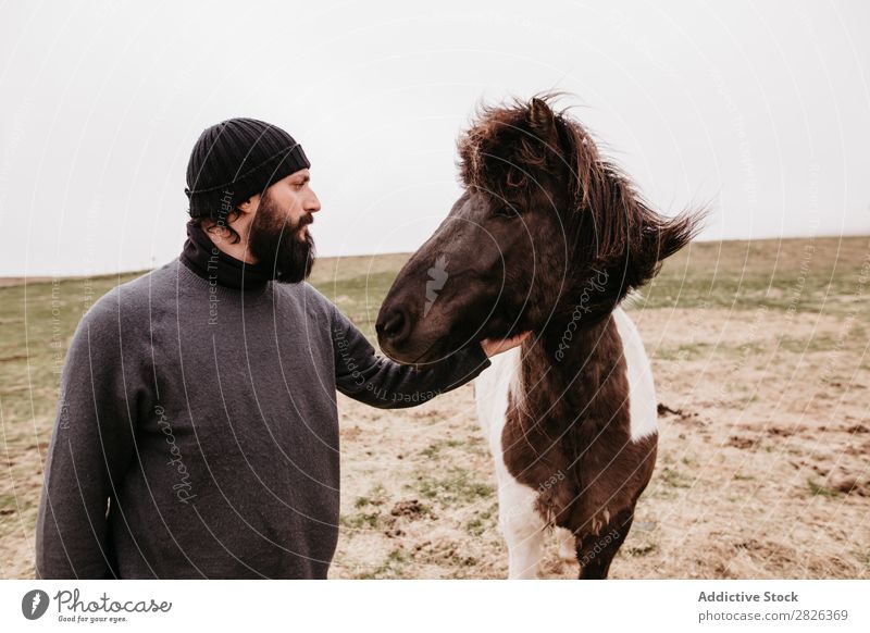 Man stroking icelandic wild horse Stroke Horse Iceland caring breeding Large-scale holdings Agriculture Caress Landscape Emotions Affection Touch Love Nature