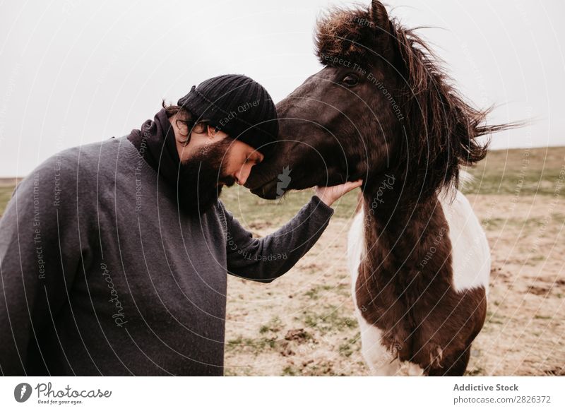 Man stroking icelandic wild horse Stroke Horse Iceland caring breeding Large-scale holdings Agriculture Caress Landscape Emotions Affection Touch Love Nature