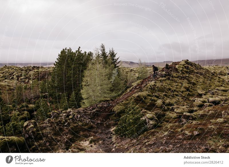 Anonymous man on rocky hills Man Highland cattle Rock Iceland Tourist Landscape Mountain Evergreen Hill Natural Nature explore Hiking Vacation & Travel