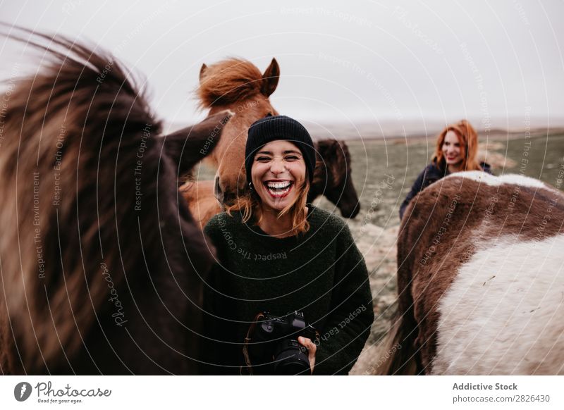 Laughing women with horses Woman Tourism Horse Photographer Iceland Nature Happiness Landscape Rustic Farm Green Leisure and hobbies Rural equine Touch national