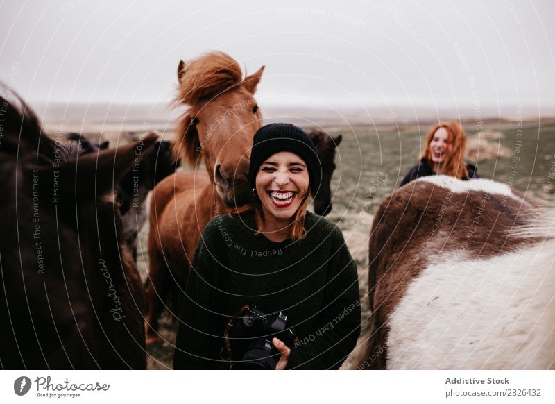 Laughing women with horses Woman Tourism Horse Photographer Iceland Nature Happiness Landscape Rustic Farm Green Leisure and hobbies Rural equine Touch national